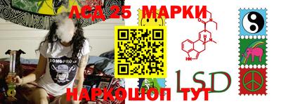 гидропоника Тула