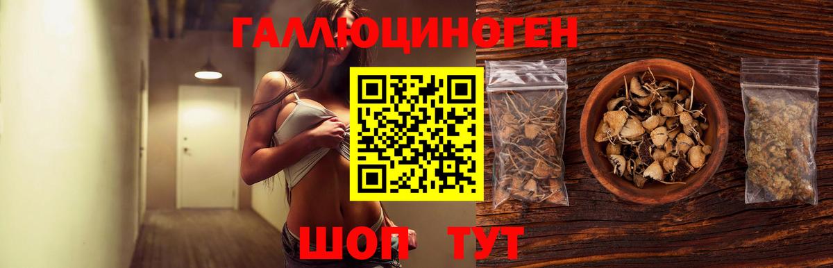 Псилоцибиновые грибы ЛСД Борзя
