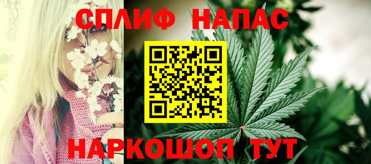 Бошки Шишки план Борзя